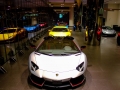 World's Largest Lamborghini Showroom in Dubai