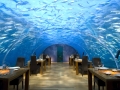 Tips on all-inclusive vacation? Why not?