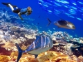 “All-inclusive” vacation doesn’t always include the “all”