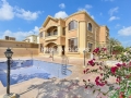 Back Yard and Swimming Pool
