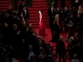 Cannes Film Festival Red Carpet