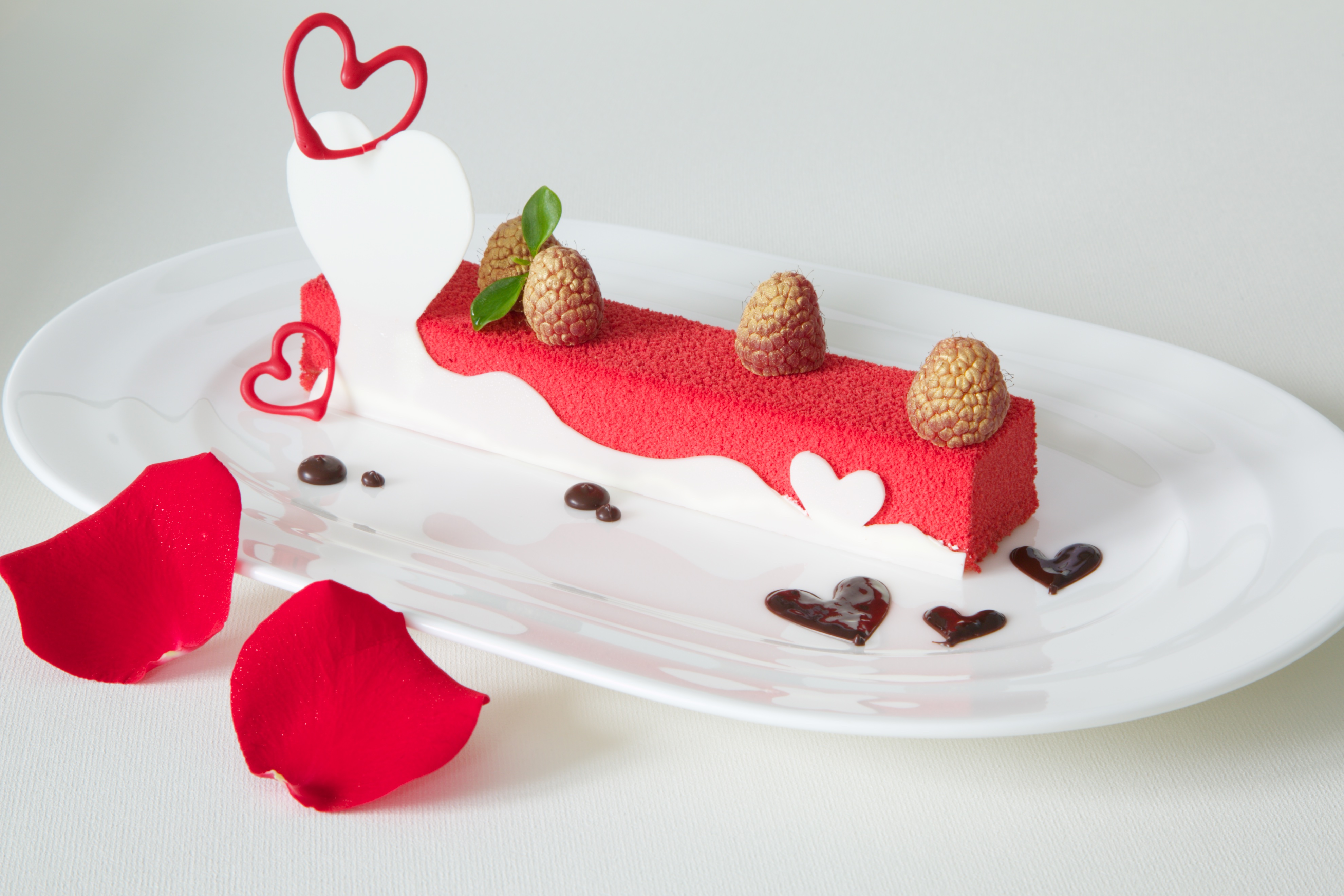 Raspberry Chocolate Cake