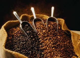 Why Do You Wake Up Every Day? Nescafe Inspires to Find Answers