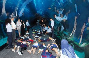 students-from-dubai-international-academy-during-the-education-prgoramme-at-dubai-aquarium-underwater-zoo