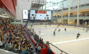 international-ice-hockey-all-stars-play-dubai-camels-at-dubai-ice-rink