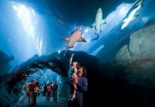 UAE Most Travel and Tourism Competitive Country in MENA