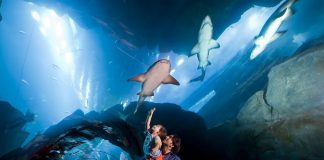 UAE Most Travel and Tourism Competitive Country in MENA