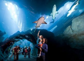 UAE Most Travel and Tourism Competitive Country in MENA