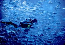 UAE among World’s 16 Most Water-Stressed Countries