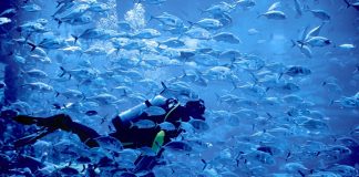 UAE among World’s 16 Most Water-Stressed Countries