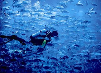 UAE among World’s 16 Most Water-Stressed Countries