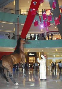 Arabian stallion Tayeb at the Grand Atrium, The Dubai Mall