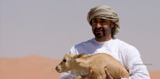 UAE Registered the Best Environmental Performance in MENA