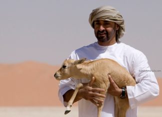UAE Registered the Best Environmental Performance in MENA