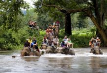 Expensive Family Holiday Ideas on Inexpensive Price