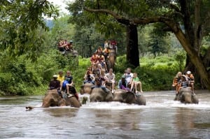Thailand - Elephant Trekking Tour_2, Kanchanaburi