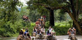 Expensive Family Holiday Ideas on Inexpensive Price