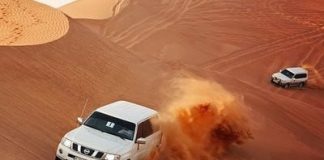 Book a tour online to spice up your Dubai holiday