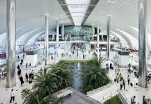UAE’s Progress Towards Greener Economy Measured by International Standards