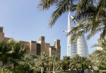 74% of UAE citizens view private sector development as ‘Very Important’