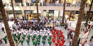 Celebrate UAE National Day at Mall of the Emirates, City Centre Shopping Malls