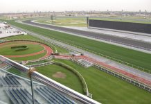10 Facts You Should Know About 2015 Dubai World Cup