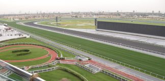 10 Facts You Should Know About 2015 Dubai World Cup