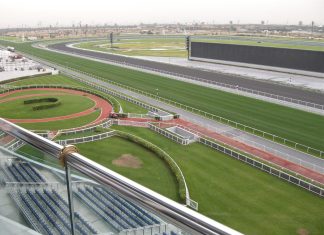 10 Facts You Should Know About 2015 Dubai World Cup