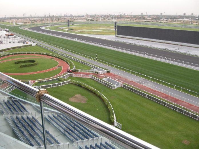 Meydan-DSCN3836