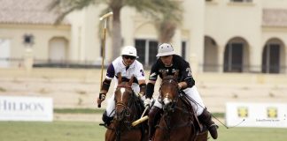 Dubai Polo Gold Cup Series 2015 Kicks Off Next Week