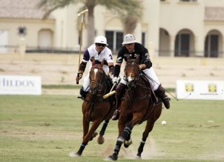 Dubai Polo Gold Cup Series 2015 Kicks Off Next Week