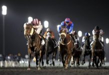 Dubai World Cup’s Season 2014 Kicks off in November