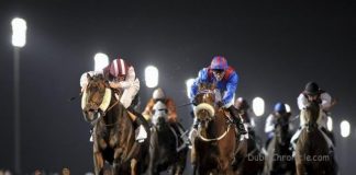 Dubai World Cup’s Season 2014 Kicks off in November