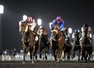 Dubai World Cup’s Season 2014 Kicks off in November