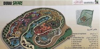 Dubai Safari Park Gets a New Launch Date