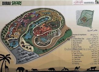 Dubai Safari Park Gets a New Launch Date