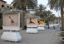 Dubai Photo Exhibition to take place in March