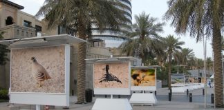 Dubai Photo Exhibition to take place in March