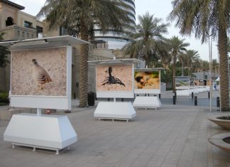 Dubai Photo Exhibition to take place in March