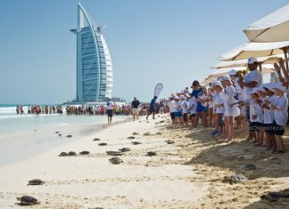Ministry of Climate Change and Environment Unveils National Marine Turtle Conservation Plan