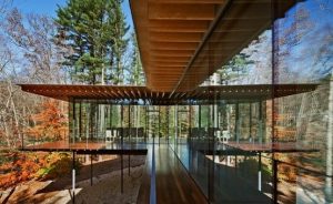 Wood Glass House