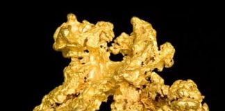 Gold Price May Tumble to $800 an Ounce