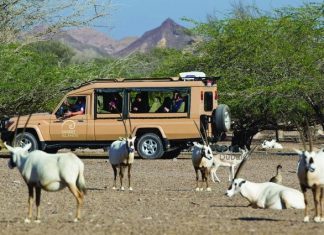 Abu Dhabi Tourism Launches Map of Al Gharbia
