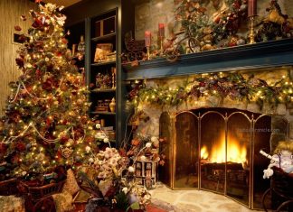 Most Amazing Christmas Trees This Year