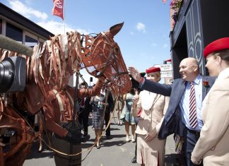 Dubai International Horse Fair kicks on next Thursday