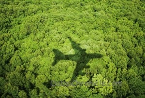 2013 Green-Flight_3D