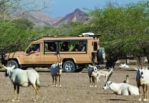 How to Family Staycation in Dubai