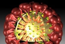 MERS Returns with 23 New Cases