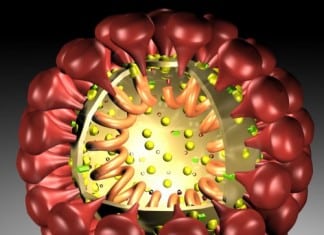 Health Experts Concerned about MERS before Hajj Pilgrimage