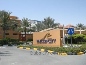 Falcon City